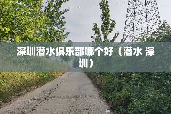 深圳潜水俱乐部哪个好（潜水 深圳）