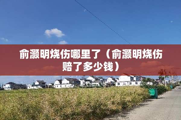 俞灏明烧伤哪里了（俞灏明烧伤赔了多少钱）