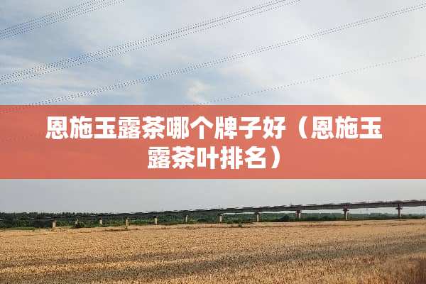 恩施玉露茶哪个牌子好（恩施玉露茶叶排名）