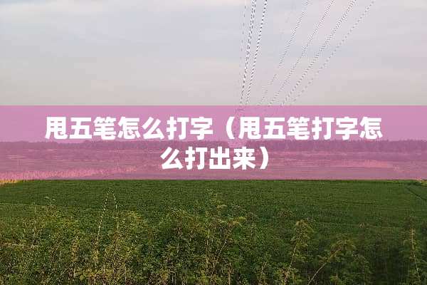 甩五笔怎么打字（甩五笔打字怎么打出来）