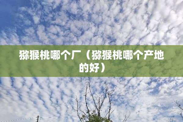 猕猴桃哪个厂（猕猴桃哪个产地的好）
