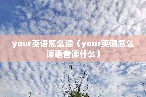 your英语怎么读（your英语怎么读语音读什么）