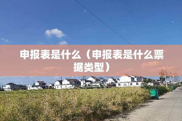申报表是什么（申报表是什么票据类型）