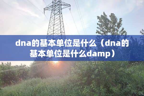 dna的基本单位是什么（dna的基本单位是什么damp）