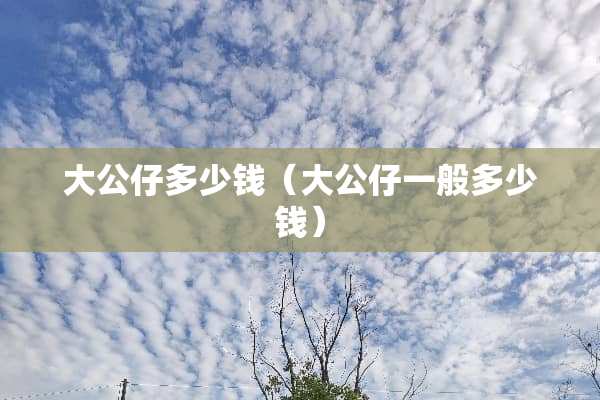 大公仔多少钱（大公仔一般多少钱）