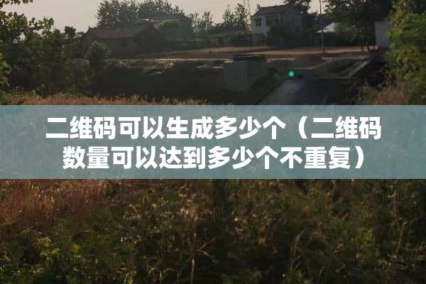 二维码可以生成多少个（二维码数量可以达到多少个不重复）