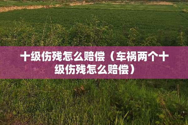 十级伤残怎么赔偿（车祸两个十级伤残怎么赔偿）