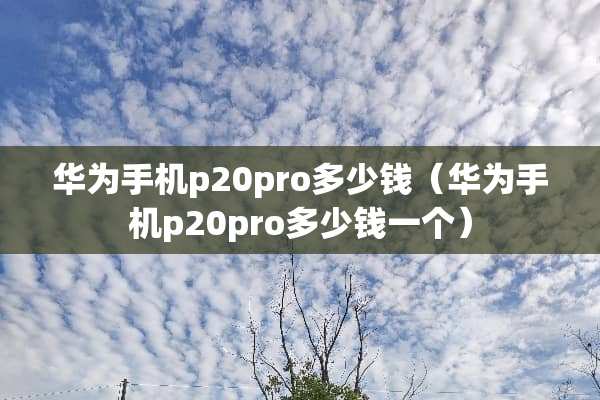华为手机p20pro多少钱（华为手机p20pro多少钱一个）