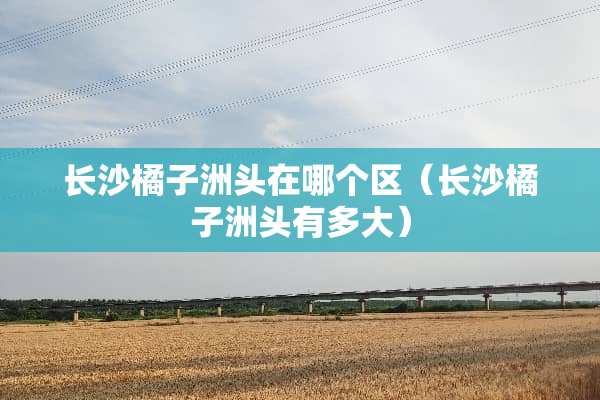 长沙橘子洲头在哪个区（长沙橘子洲头有多大）
