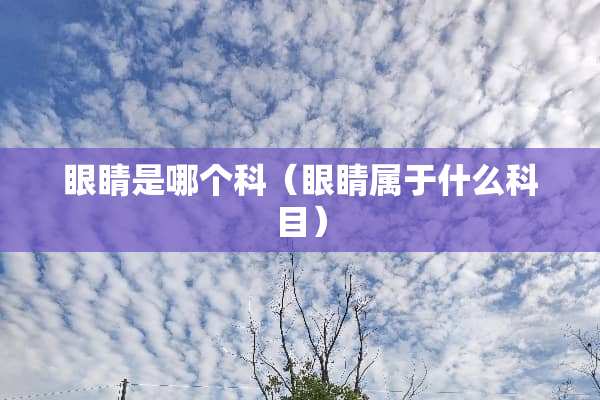 眼睛是哪个科（眼睛属于什么科目）