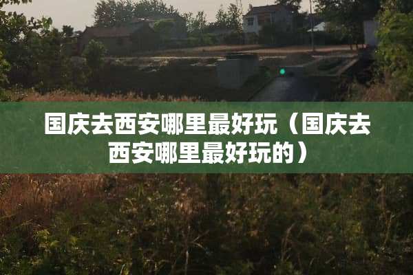 国庆去西安哪里最好玩（国庆去西安哪里最好玩的）