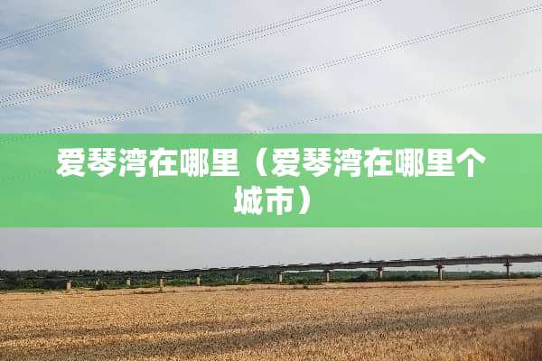 爱琴湾在哪里（爱琴湾在哪里个城市）
