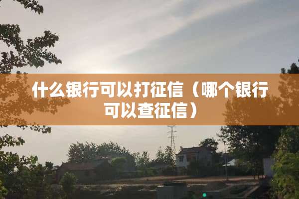 什么银行可以打征信（哪个银行可以查征信）