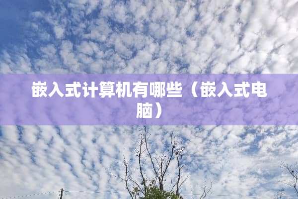 嵌入式计算机有哪些（嵌入式电脑）