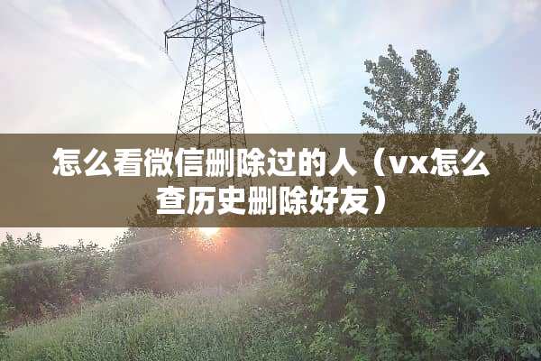 怎么看微信删除过的人（vx怎么查历史删除好友）