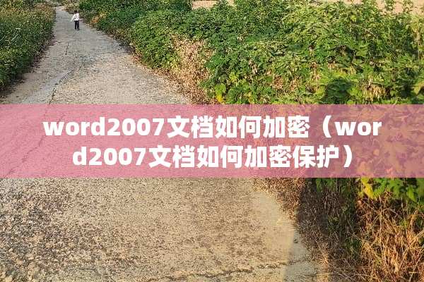 word2007文档如何加密（word2007文档如何加密保护）
