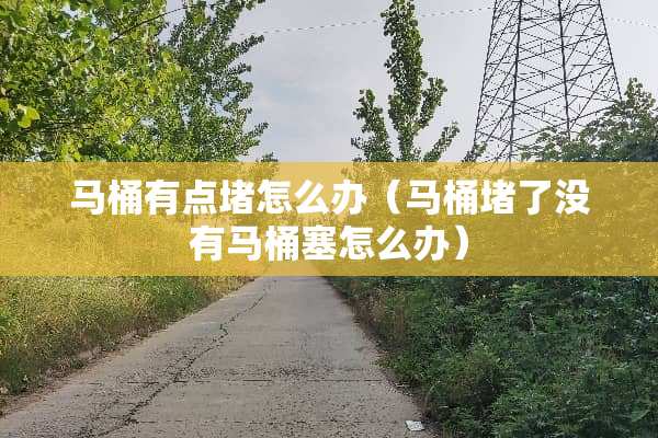 马桶有点堵怎么办（马桶堵了没有马桶塞怎么办）