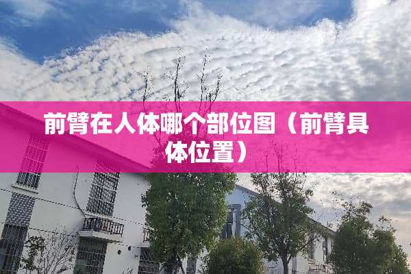 前臂在人体哪个部位图（前臂具**置）