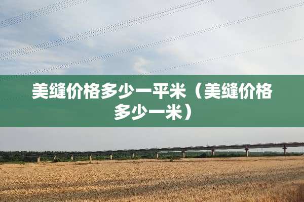 美缝价格多少一平米（美缝价格多少一米）