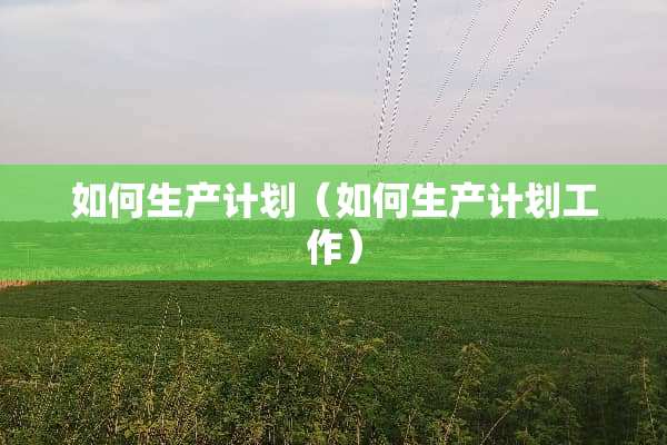 如何生产计划（如何生产计划工作）