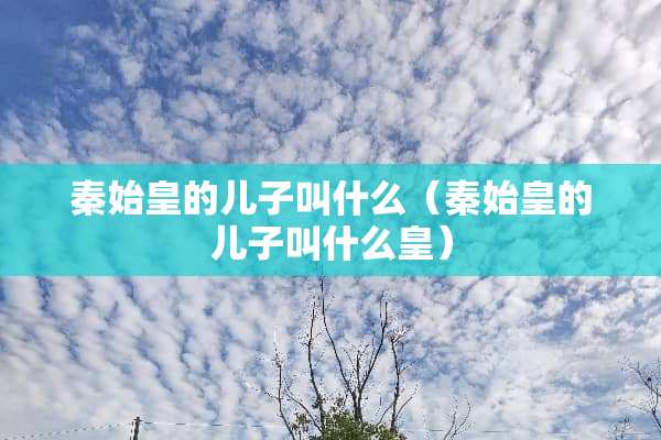 秦始皇的儿子叫什么（秦始皇的儿子叫什么皇）