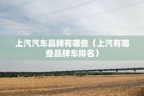 上汽汽车品牌有哪些（上汽有哪些品牌车排名）