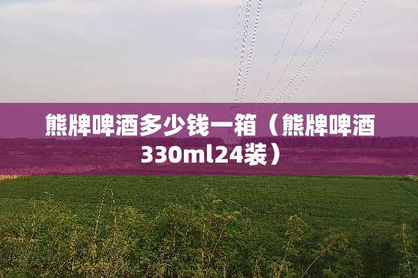 熊牌啤酒多少钱一箱（熊牌啤酒330ml24装）