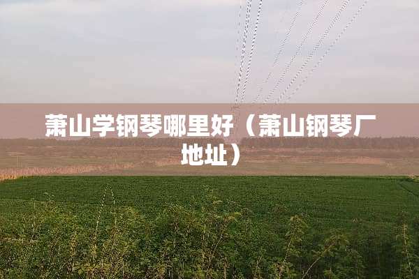 萧山学钢琴哪里好（萧山钢琴厂地址）