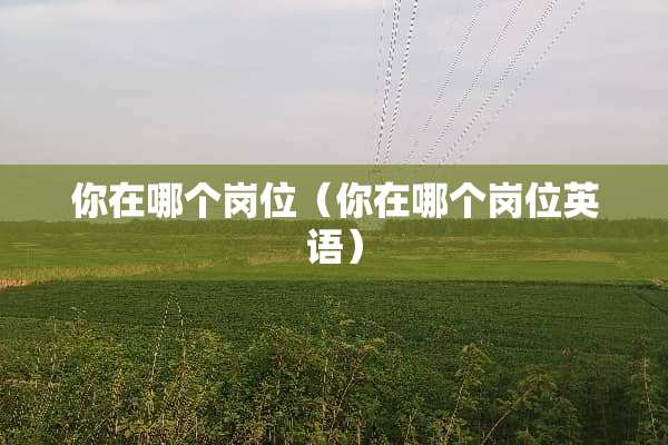 你在哪个岗位（你在哪个岗位英语）