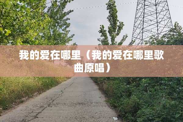 我的爱在哪里（我的爱在哪里歌曲原唱）