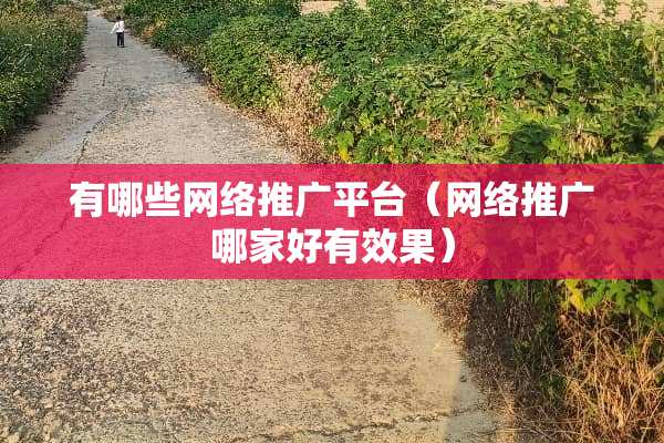 有哪些网络推广平台（网络推广哪家好有效果）