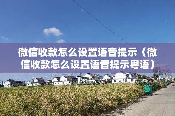微信收款怎么设置语音提示（微信收款怎么设置语音提示粤语）