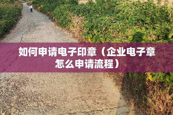 如何申请电子印章（企业电子章怎么申请流程）