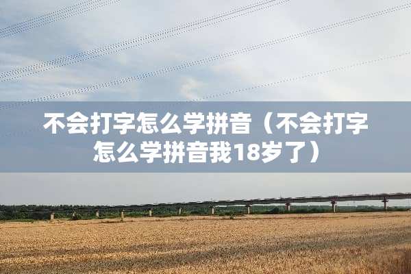 不会打字怎么学拼音（不会打字怎么学拼音我18岁了）