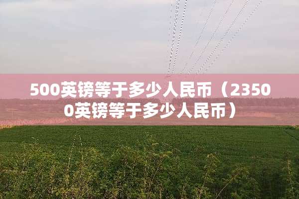 500英镑等于多少人民币（23500英镑等于多少人民币）