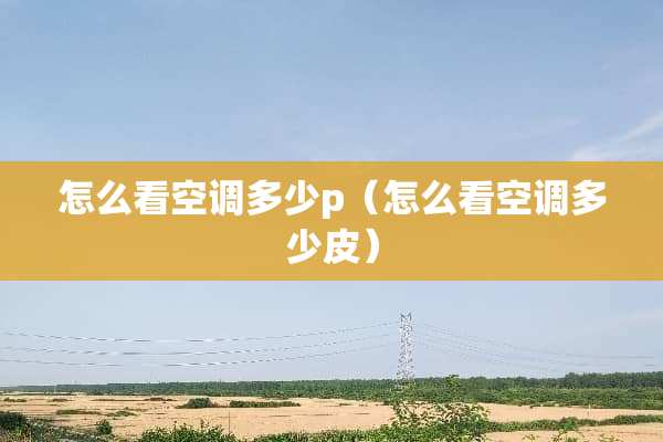 怎么看空调多少p（怎么看空调多少皮）