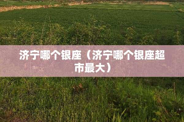 济宁哪个银座（济宁哪个银座超市最大）