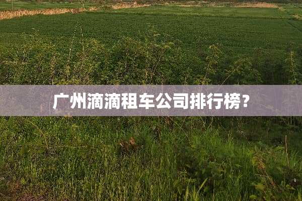 广州滴滴租车公司排行榜？