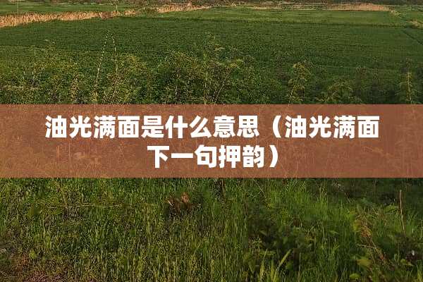 油光满面是什么意思（油光满面下一句押韵）