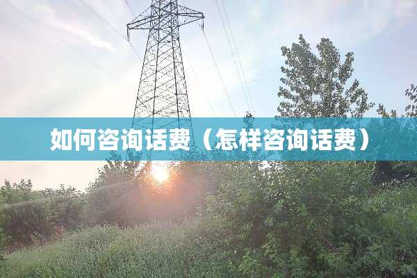 如何咨询话费（怎样咨询话费）