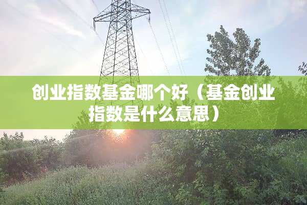 创业指数基金哪个好（基金创业指数是什么意思）