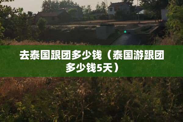去泰国跟团多少钱（泰国游跟团多少钱5天）