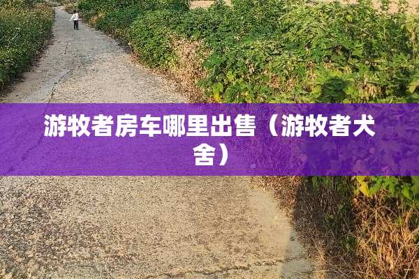 游牧者房车哪里出售（游牧者犬舍）