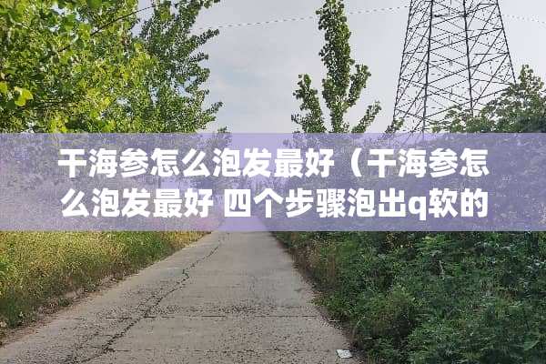干海参怎么泡发最好（干海参怎么泡发最好 四个步骤泡出q软的海参）