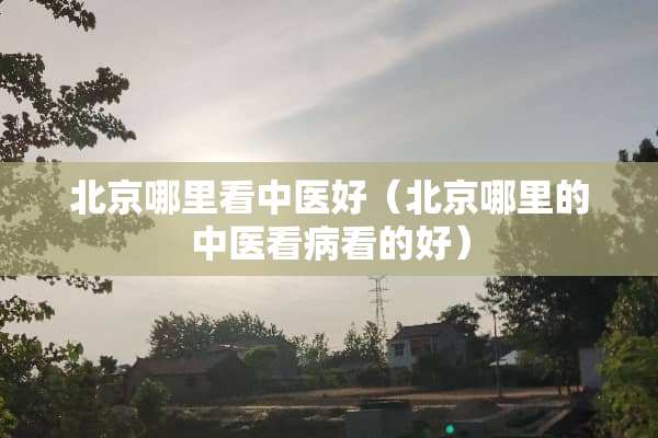 北京哪里看中医好（北京哪里的中医看病看的好）