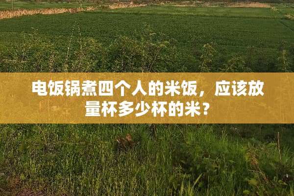 电饭锅煮四个人的米饭，应该放量杯多少杯的米？