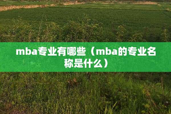 mba专业有哪些（mba的专业名称是什么）
