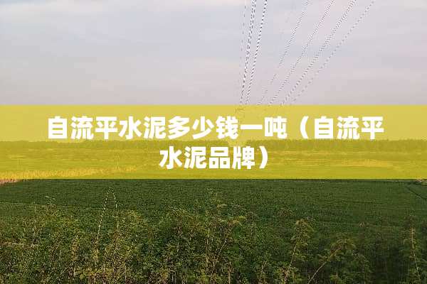 自流平水泥多少钱一吨（自流平水泥品牌）