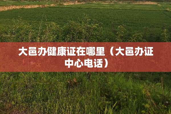 大邑办健康证在哪里（大邑**中心电话）