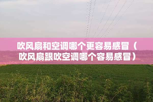 吹风扇和空调哪个更容易感冒（吹风扇跟吹空调哪个容易感冒）